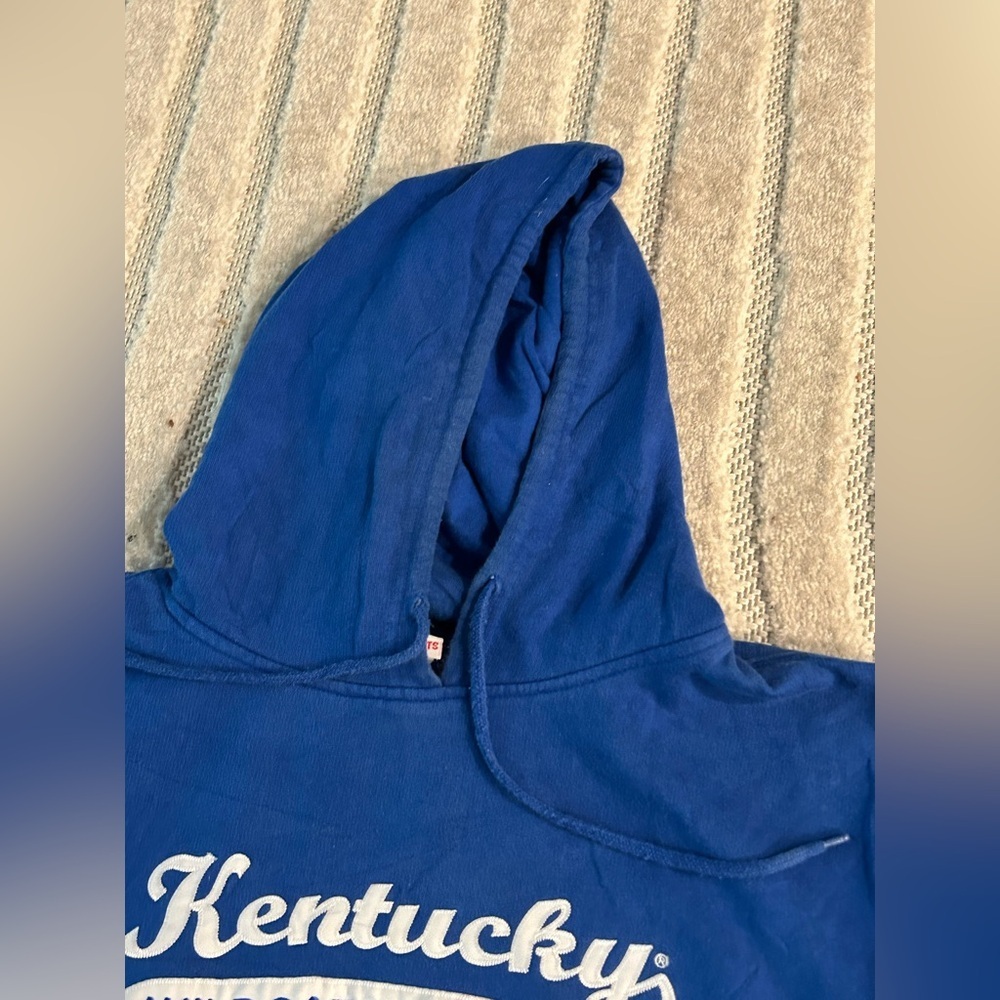 University of Kentucky Wildcats Y2K Style Vintage Hoodie Sweatshirt - L - Picture 5 of 11